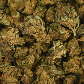 Fleur de CBD - WHITE WIDOW  * PROMO *
