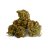 Fleur de CBD - WHITE WIDOW  * PROMO *