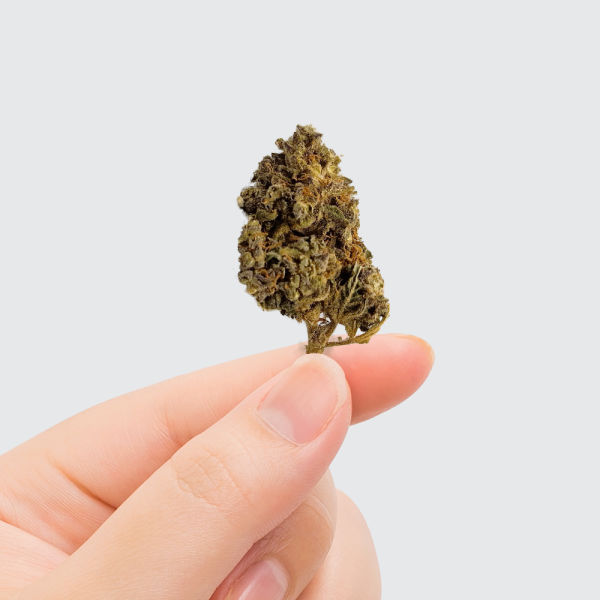 Fleur de CBD - OG KUSH * PROMO *