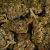 Fleur de CBD - OG KUSH * PROMO *