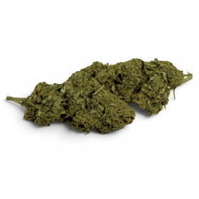Fleur de CBD Super Silver Haze Indoor