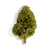 Fleur de CBD Gorilla Greenhouse