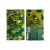 Sucette CBD pomme - 100 pcs | BUBBLY BILLY