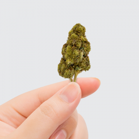 Fleur de CBD - REMEDY