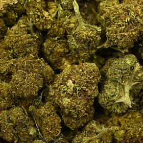 Fleur de CBD - REMEDY