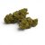 Fleur CBD Amnesia 2.0 Indoor Premium