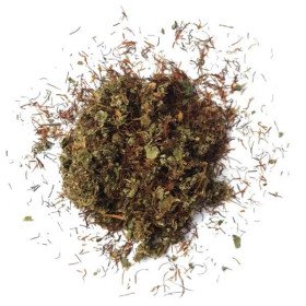 Mélange de plantes | L'AVENTURIÈRE (1 kg)