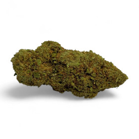 Fleur de CBD Amnesia 2.0 Greenhouse