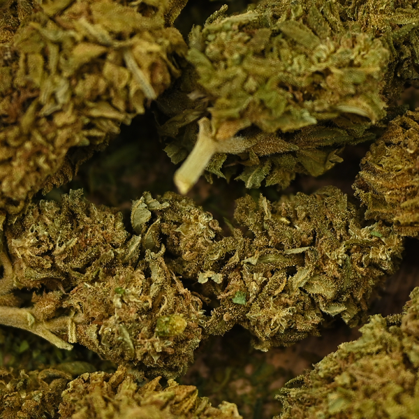 Fleur de CBD - CHERRY WINE