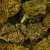 Fleur de CBD - CHERRY WINE