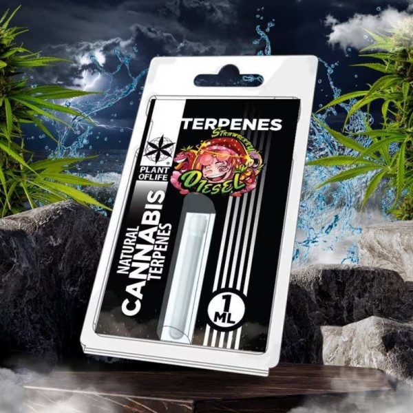 Terpène Strawberry Diesel | PLANT OF LIFE