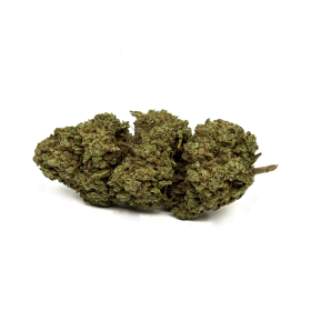 Fleur de CBD White Widow Greenhouse