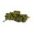 Fleur de CBD Sweet Cheese Indoor