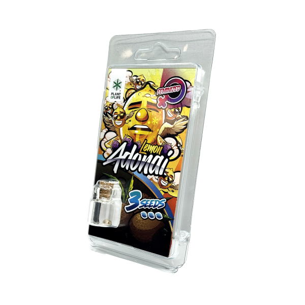 3 Graines de collection Lemon Adonai FÉMINISÉE | Plant of Life
