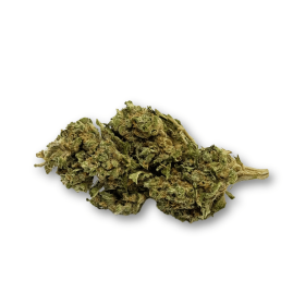 Déstockage Fleur de CBD Harlequin Indoor - Quantité Limitée