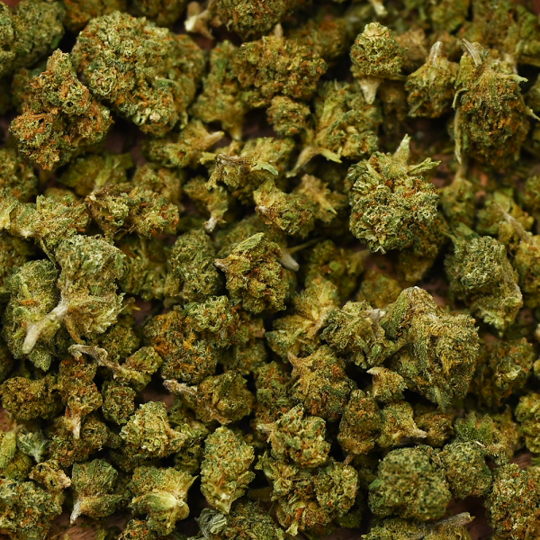 Fleur de CBD - SMALL BUD PREMIUM FRUITY