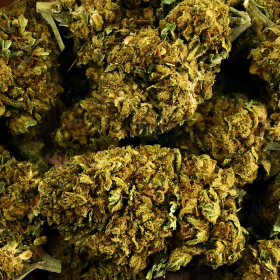 Fleur de CBD - CALIFORNIA KUSH