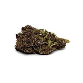 Fleur CBD purple haze Indoor