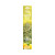 Encens Dry Cannabis Lemon Multitrance 15 bâtonnets