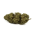 Fleur de CBD White Widow Greenhouse