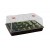 Serre XL High Dome noir