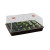 Serre XL High Dome noir