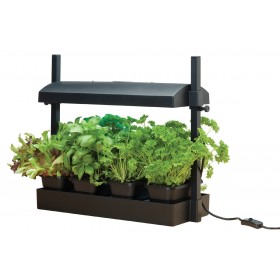 Lampe de culture Micro Grow Light Jardin Noir