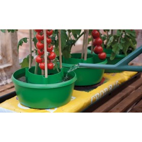 Halos de plantes (lot de 3) vert