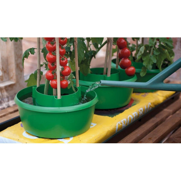 Halos de plantes (lot de 3) vert