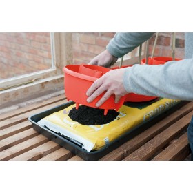 Halos de plantes (lot de 3) rouge