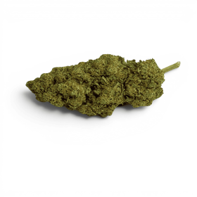 Fleur CBD Gelato Glue Indoor