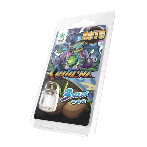 3 Graines de collection Critical AUTO | Plant of Life