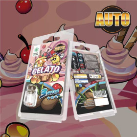 3 Graines de collection Gelato AUTO | Plant of Life