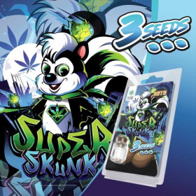 3 Graines de collection Super Skunk AUTO | Plant of Life