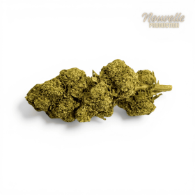 Fleur Tropical Haze 2.0 CBDX (CBD Xtrem) NL-1 12,5% Indoor
