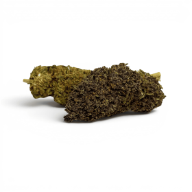 Fleur Purple Haze CBDX (CBD Xtrem) Indoor 20%