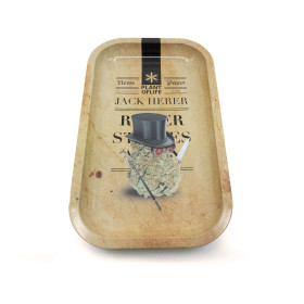 Plateau Jack Herer light | PLANT OF LIFE