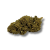 Fleur CBD Buddha Fruit Premium Indoor