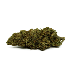 Fleur de CBD Orange Bud Greenhouse