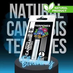 Terpène Blueberry Diesel | PLANT OF LIFE