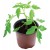 Pots de culture professionnels 17cm lot de 3