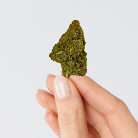 Fleur de CBD - HARMONY