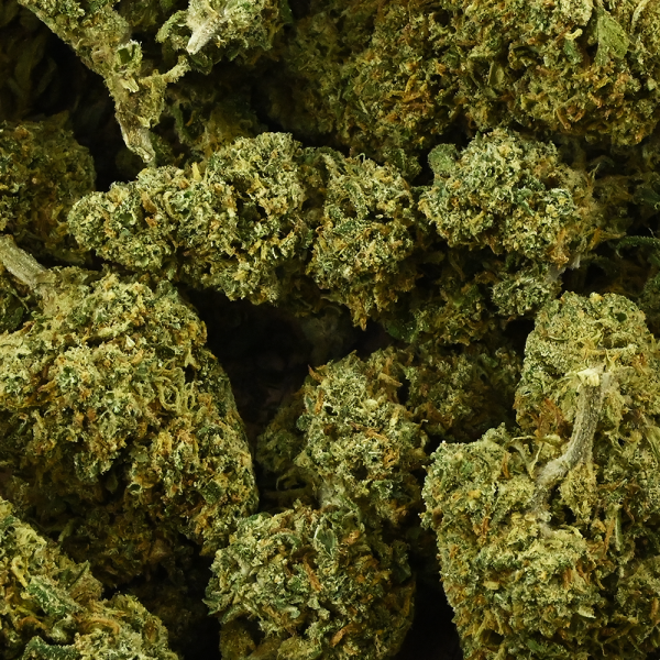 Fleur de CBD - MANDARINE