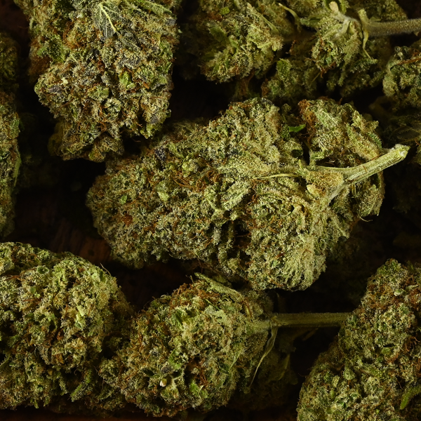 Fleur de CBD la plus puissante - BUBBLE