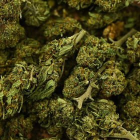 Fleur de CBD - CHERRY