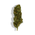 Fleur de CBD - CHERRY
