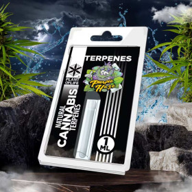 Terpène Purple Haze | PLANT...