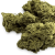 Fleur de CBD - LEMON HAZE
