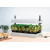 Lampe de culture Grow Light Jardin Blanc