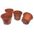 12 pots de plateau de culture de remplacement de 11 cm